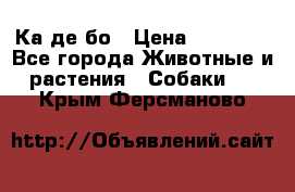 Ка де бо › Цена ­ 25 000 - Все города Животные и растения » Собаки   . Крым,Ферсманово